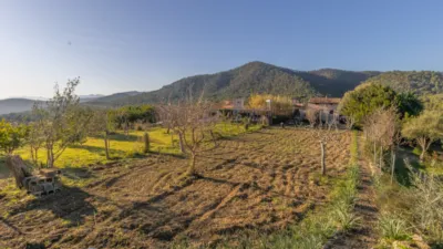Single-family home in Alaró photo 8
