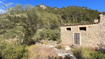 Rustic Finca in Alaró photo 3