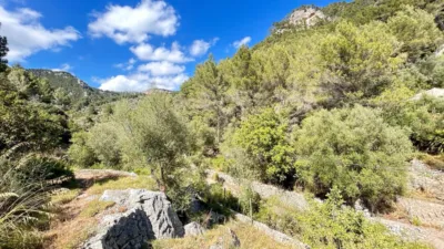Rustic Finca in Alaró photo 4