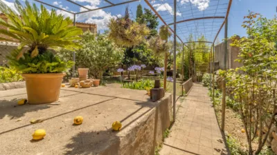 House on Carrer de Gerreria photo 2