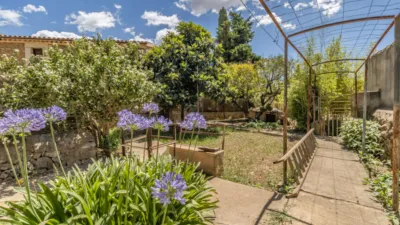 House on Carrer de Gerreria photo 4