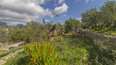 Rustic Finca in Sa Teulera photo 10