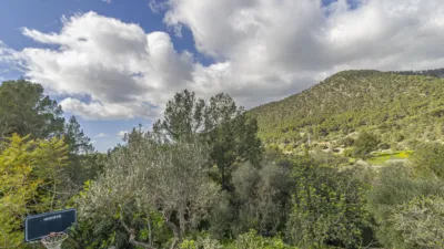 Rustic Finca in Sa Teulera photo 6