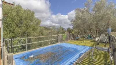 Rustic Finca in Sa Teulera photo 12