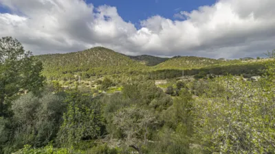 Rustic Finca in Sa Teulera photo 4