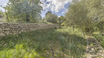 Rustic house in Sa Teulera photo 9