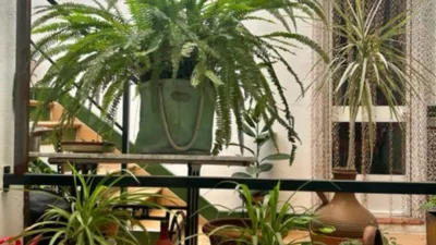 House in Zona El Canal photo 12