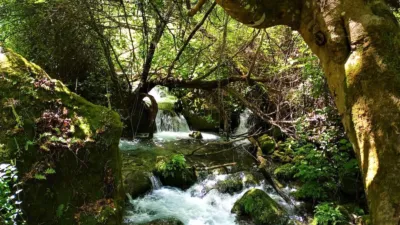 House for sale in Grazalema photo 27