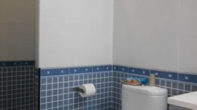 Apartment in Mairena del Alcor photo 15