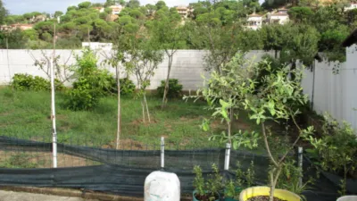 House on Carrer de Saturn photo 23