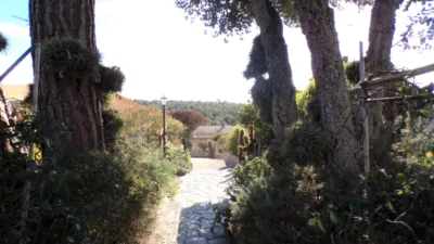 House on Carrer de Breda, 1 photo 17
