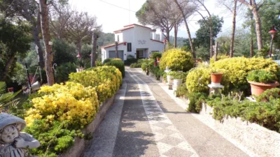 House on Carrer de Breda, 1 photo 2