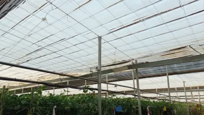 Rustic farm in Adra photo 5