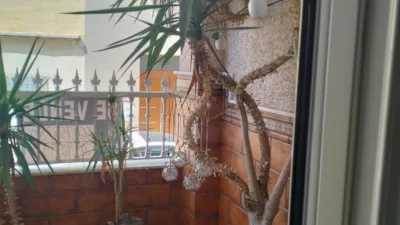 House in Barrio Sur photo 40