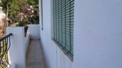 Rustic finca on Ctra Picena photo 7