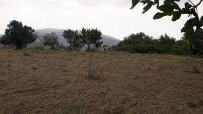 Rustic farm on Ctra Mairena photo 3