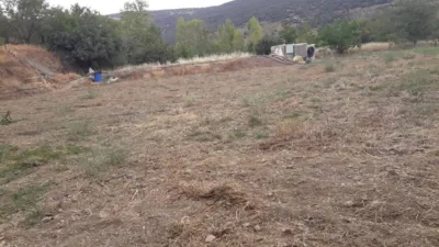 Rustic farm on Ctra Mairena photo 5