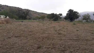Finca rústica en Ctra Mairena photo 7