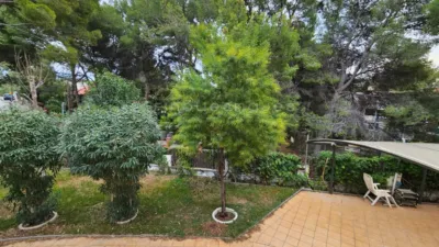 House in Bellamar photo 17