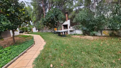 House in Bellamar photo 16