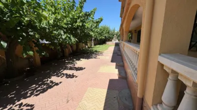 Detached Family Home in Urbanització Marítima Residencial photo 67