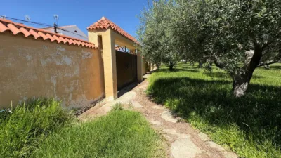 Detached Family Home in Urbanització Marítima Residencial photo 61