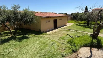 Detached Family Home in Urbanització Marítima Residencial photo 68