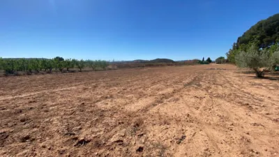 Terreno en venta en Hellín - Vista 5
