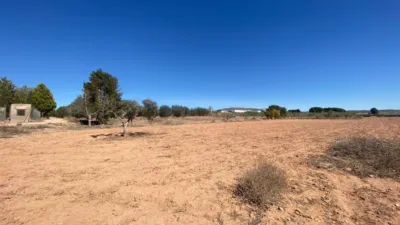 Terreno en venta en Hellín - Vista 4