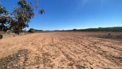 Terreno en venta en Hellín - Vista 2