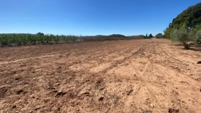 Terreno en venta en Hellín - Vista 3