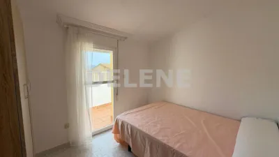 Penthouse in Hellín photo 12