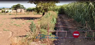 Rustic finca on Calle Rec de Viver, No. 24 photo 5