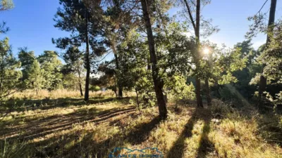 Finca rústica en venta en Calle Veinat San Daniel, Número 0, Urbanitzacions El Mas Móra-Sant Daniel-Blanes Mar (Tordera) de 475.000 €