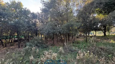 Finca rústica en venta en Calle Veinat San Daniel, Número 0, Urbanitzacions El Mas Móra-Sant Daniel-Blanes Mar (Tordera) de 475.000 €