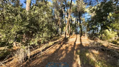 Finca rústica en venta en Calle Veinat San Daniel, Número 0, Urbanitzacions El Mas Móra-Sant Daniel-Blanes Mar (Tordera) de 475.000 €