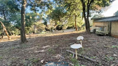 Finca rústica en venta en Calle Veinat San Daniel, Número 0, Urbanitzacions El Mas Móra-Sant Daniel-Blanes Mar (Tordera) de 475.000 €