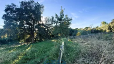 Finca rústica en venta en Calle Veinat San Daniel, Número 0, Urbanitzacions El Mas Móra-Sant Daniel-Blanes Mar (Tordera) de 475.000 €