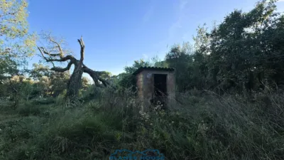 Finca rústica en venta en Calle Veinat San Daniel, Número 0, Urbanitzacions El Mas Móra-Sant Daniel-Blanes Mar (Tordera) de 475.000 €
