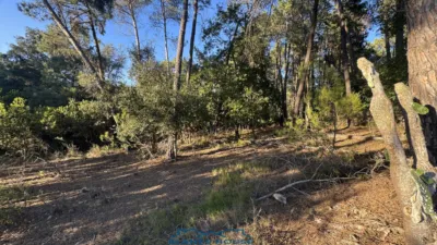 Finca rústica en venta en Calle Veinat San Daniel, Número 0, Urbanitzacions El Mas Móra-Sant Daniel-Blanes Mar (Tordera) de 475.000 €