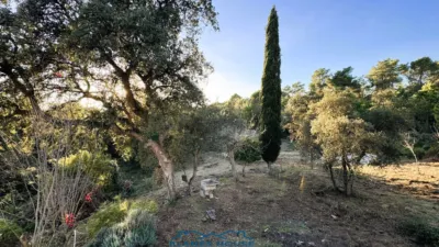 Finca rústica en venta en Calle Veinat San Daniel, Número 0, Urbanitzacions El Mas Móra-Sant Daniel-Blanes Mar (Tordera) de 475.000 €