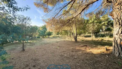 Finca rústica en venta en Calle Veinat San Daniel, Número 0, Urbanitzacions El Mas Móra-Sant Daniel-Blanes Mar (Tordera) de 475.000 €