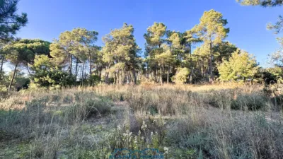 Finca rústica en venta en Calle Veinat San Daniel, Número 0, Urbanitzacions El Mas Móra-Sant Daniel-Blanes Mar (Tordera) de 475.000 €