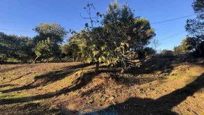 Finca rústica en venta en Calle Veinat San Daniel, Número 0, Urbanitzacions El Mas Móra-Sant Daniel-Blanes Mar (Tordera) de 475.000 €