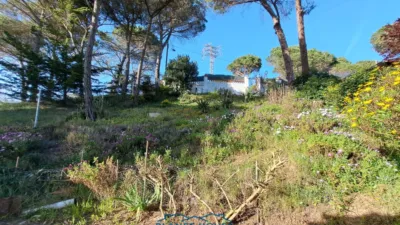 Casa en venta en Carrer Tierno Galván, Urbanitzacions Terrabrava-Tordera Parc (Tordera) de 110.000 €