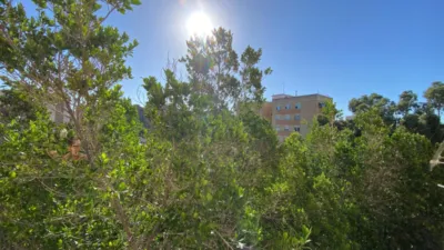 Apartment on Calle de Bañeres photo 6