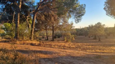 Rustic farm in Navahermosa photo 5