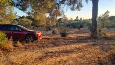 Rustic farm in Navahermosa photo 6