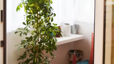 Apartment in Grup de Sant Jordi photo 10