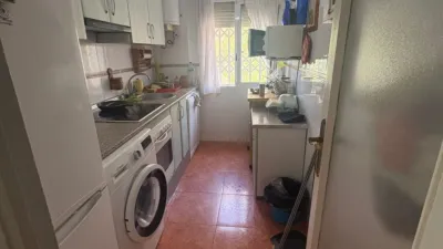 Pis – Alicante - Alacant - Vista 4